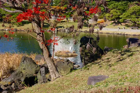 Les bords de l'étang du jardin Kyu Shiba Rikyu Les bords de l'étang du jardin Kyu Shiba Rikyu
