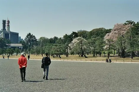 Dans les jardins du palais impérial de Tokyo