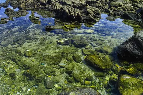 Les eaux transparentes des criques de l'île Shikine-jima Les eaux transparentes des criques de l'île Shikine-jima