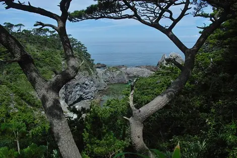L'île de Shikine-jima est toute en reliefs et en végétation L'île de Shikine-jima est toute en reliefs et en végétation