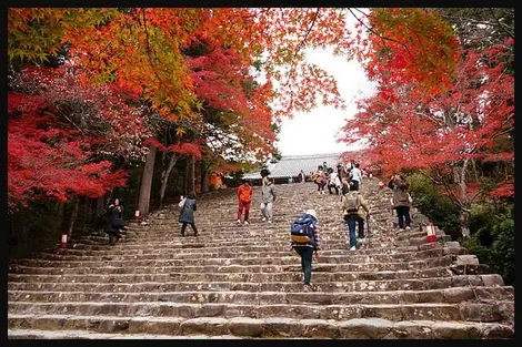 Les escaliers de pierre menant au temple Jingo-ji Les escaliers de pierre menant au temple Jingo-ji