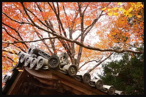 Le temple Jingo-ji à Takao Le temple Jingo-ji à Takao