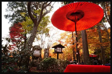 A proximité du temple Jingo-ji, à Takao