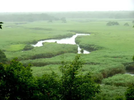 Le marais de la plaine du Village de Tsurui