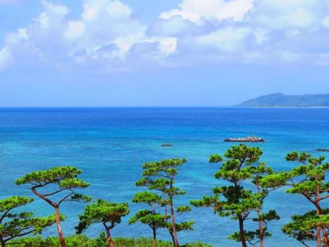 Tout l'archipel de Matsushima est recouvert de pins