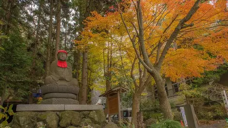 Le temple Zuigan-ji, à Matsushima, l'automne Le temple Zuigan-ji, à Matsushima, l'automne