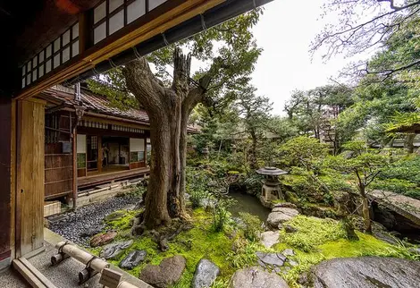 Le jardin de la résidence Nomura sous un autre angle (Kanazawa) Le jardin de la résidence Nomura sous un autre angle (Kanazawa)