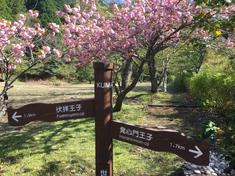 Les chemins de Kumano Kodo sont bien fléchés Les chemins de Kumano Kodo sont bien fléchés