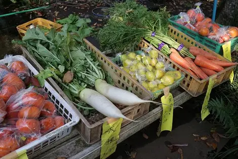 marché japon