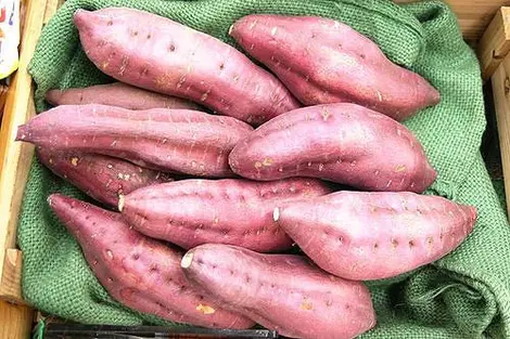 Satsuma imo, la patate douce japonaise Satsuma imo, la patate douce japonaise