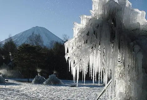 Festival de glace Saiko Yachounomori Festival de glace Mont Fuji
