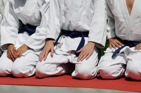 Des karatekas Des karatekas