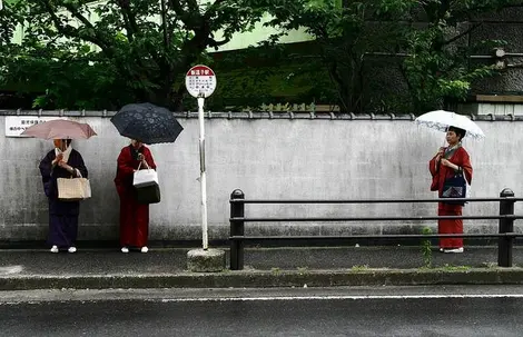 Jour de pluie lors de la saison du tsuyu au Japon Jour de pluie lors de la saison du tsuyu au Japon