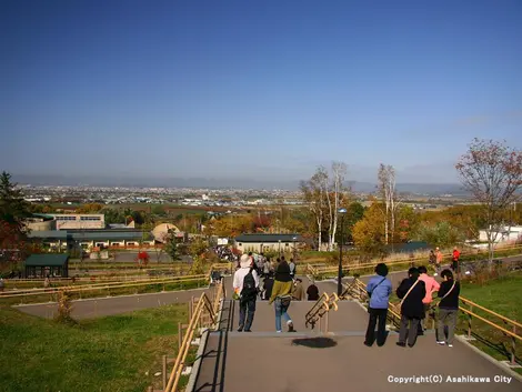 Le zoo d'Asahikawa sur le mon Asahi