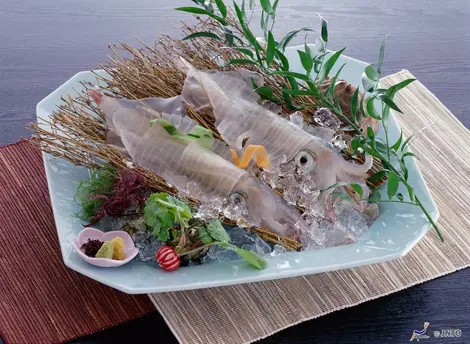 Sashimi de seiche, spécialité de la région de Saga (Kyûshû)