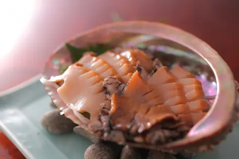 Abalone sashimi Abalone sashimi