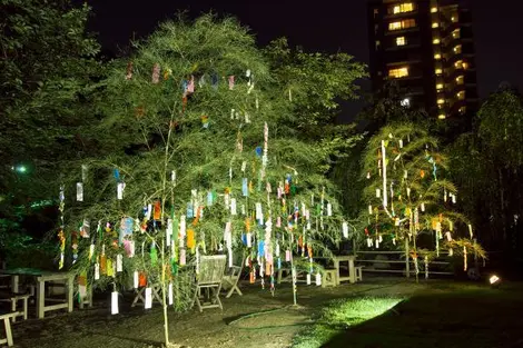 Tanabata 2 Tanabata 2