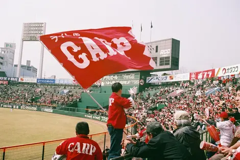 Les supporters des Hiroshima Carp Les supporters des Hiroshima Carp