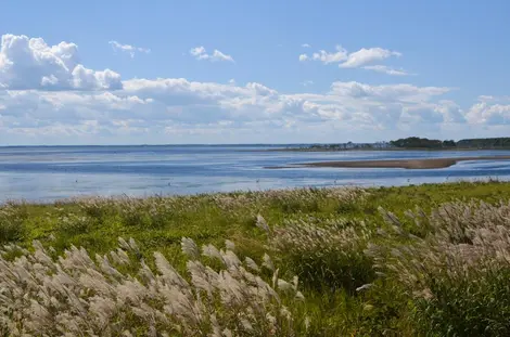 La péninsule de Notsuke s'étend sur environ 26 kilomètres sur l'île d'Hokkaido, à l'Ouest