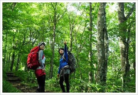 Randonnées et promenades sont au rendez-vous à hiroshima kenmin no mori