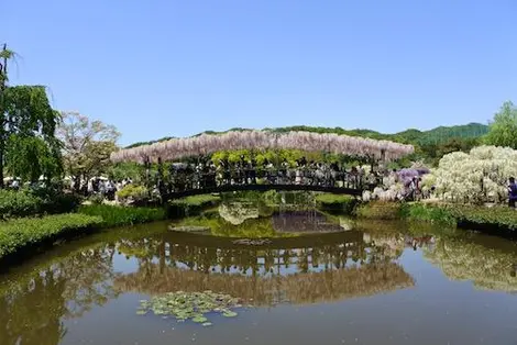 parc ashikaga