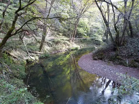 Excursion dans la vallée de Taishaku, préfecture d'Hiroshima