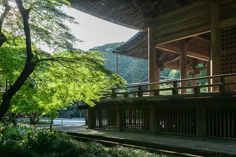 Vue du soshi-dō, le « bâtiment du fondateur », entouré de verdure.  