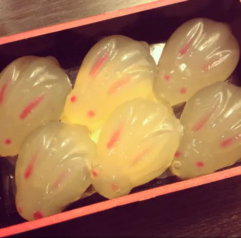 Warabi Mochi Warabi Mochi Bazu