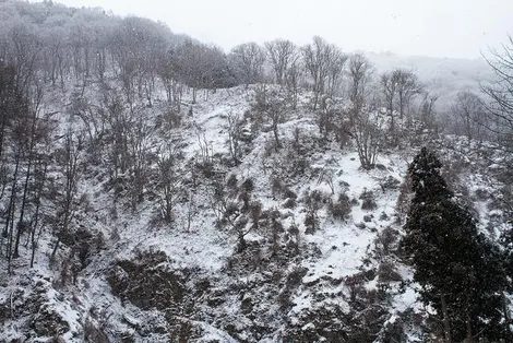 La vallée sous la neige