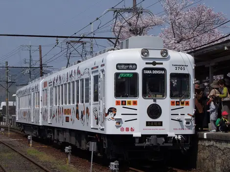 Wakayama Electric Railway "Tama Densha" Wakayama Electric Railway "Tama Densha"