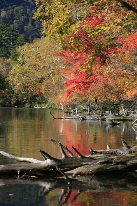 L'automne à Nikko