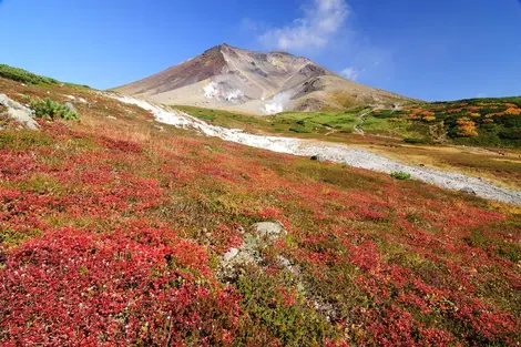 Daisetsuzan in autumn