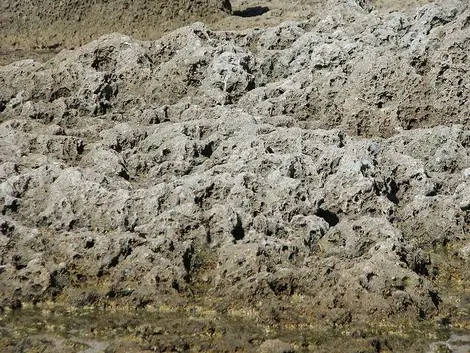 Détails rocheux dans la crique des bouddhas