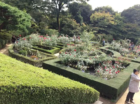 jardin-a-la-française jardin-a-la-française