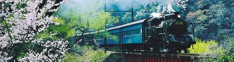 La locomotive à vapeur transporte les voyageurs dans la préfecture de Shizuoka La locomotive à vapeur transporte les voyageurs dans la préfecture de Shizuoka