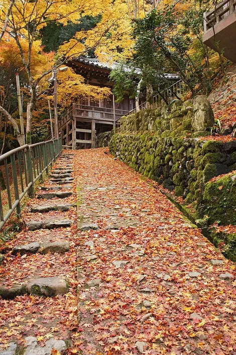 chemin-Otagi_nenbutsuji chemin-Otagi_nenbutsuji