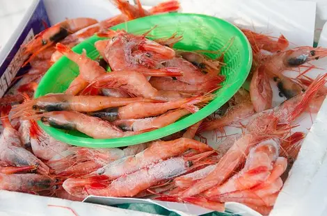 Marché du matin à Wajima