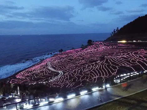 Les rizières en terrasse "Senmaida", illuminées de nuit Les rizières en terrasse "Senmaida", illuminées de nuit