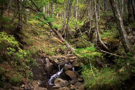 Sur les chemins du mont Apoi à Hokkaido