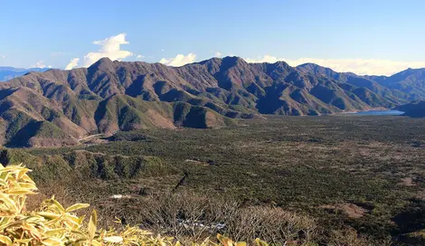 Aokigahara Forest and Saiko Lake, as seen from Mount Ryu (Tenshi Mountains)