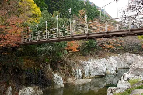 Pont Pont