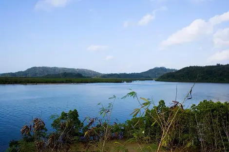 Île d'Iriomote Île d'Iriomote