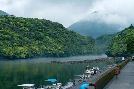 Après midi brumeuse à Yakushima