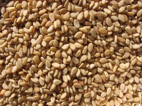 graines de sesame graines de sesame