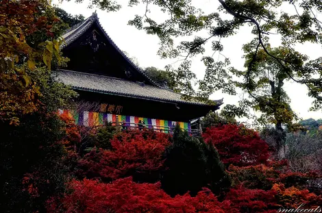 Hasedera temple Hasedera