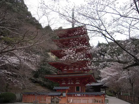 Hasedera's pagoda Hasedera's pagoda