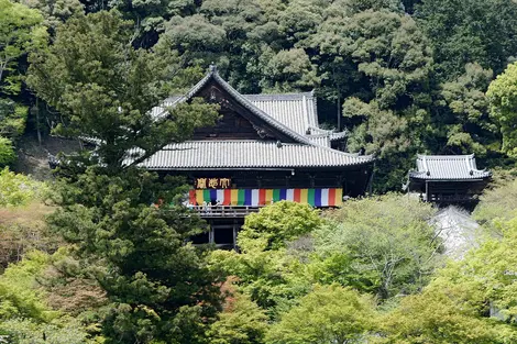 Temple Hasedera