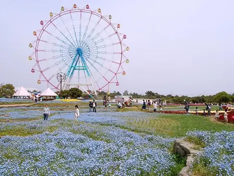 La grande roue La grande roue