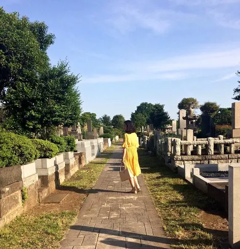 Le cimetière d'Aoyama Le cimetière d'Aoyama