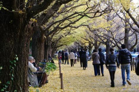 Le jardin Meiji jingu à Tokyo
